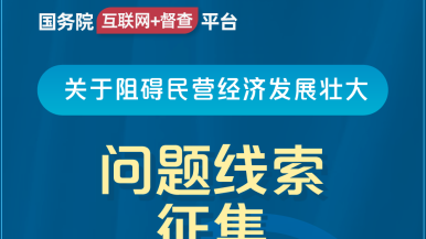 插逼逼网站com国务院“互联网+督查”平台公开征集阻碍民营经济发展壮大问题线索